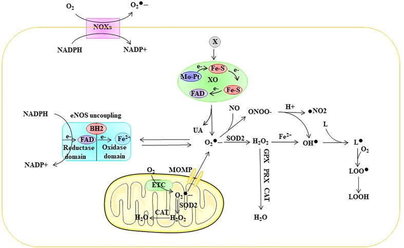 Figure 2