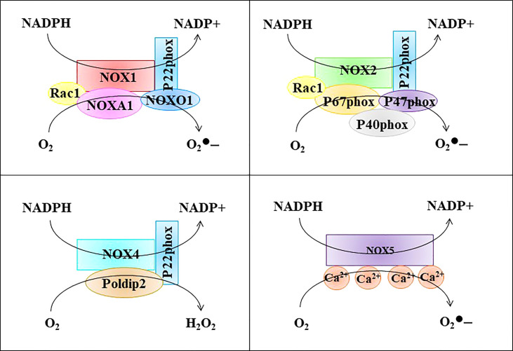 Figure 3