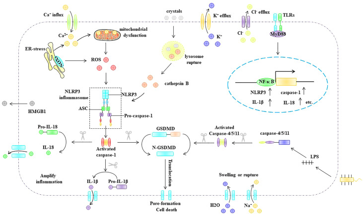 Figure 5