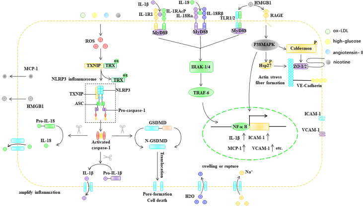 Figure 6