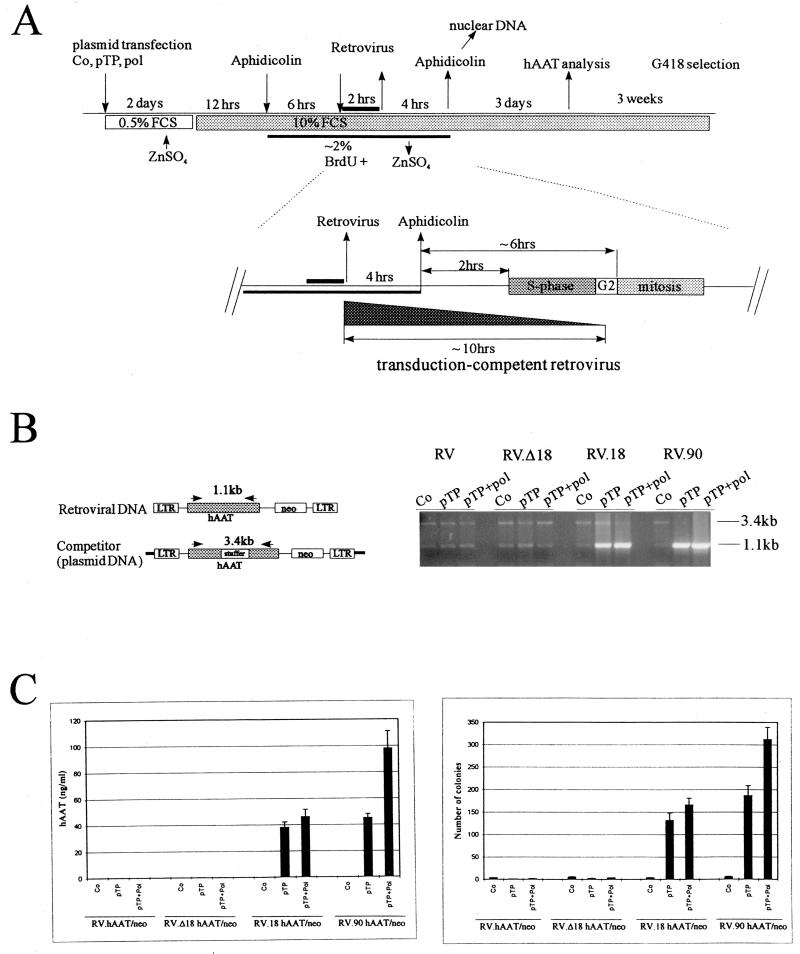 FIG. 6