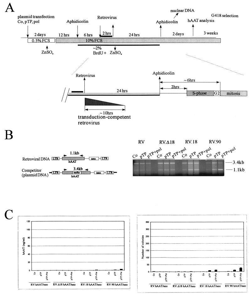 FIG. 7