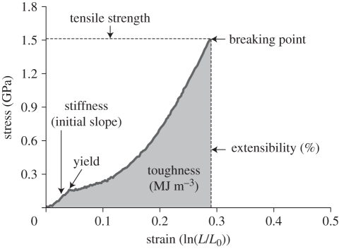 Figure 1.