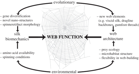 Figure 3.