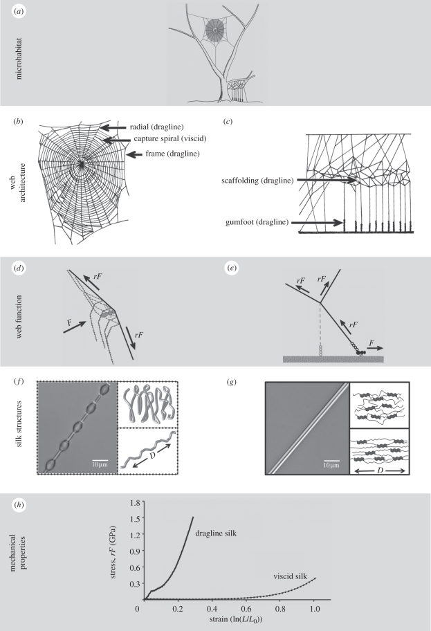 Figure 2.