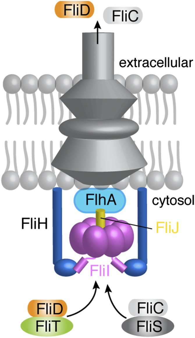 Fig. 1.