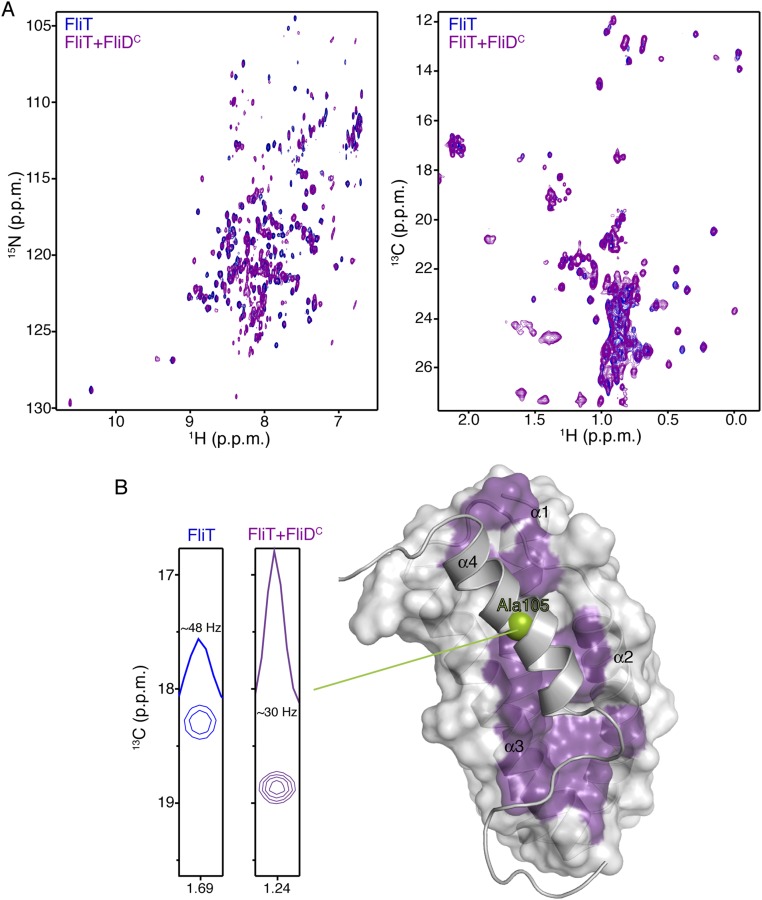 Fig. S3.