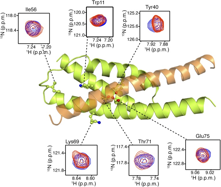 Fig. S5.