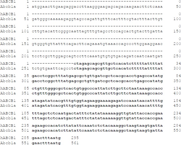 Supplementary Figure 3.