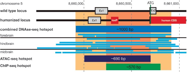 Figure 5.