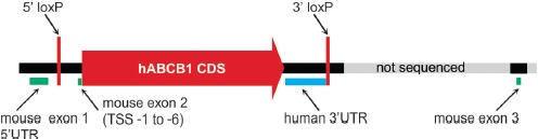 Figure 4.