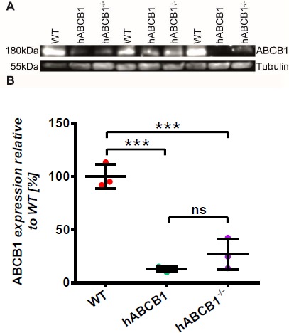 Supplementary Figure 2.