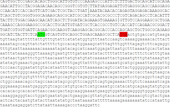 Supplementary Figure 1.