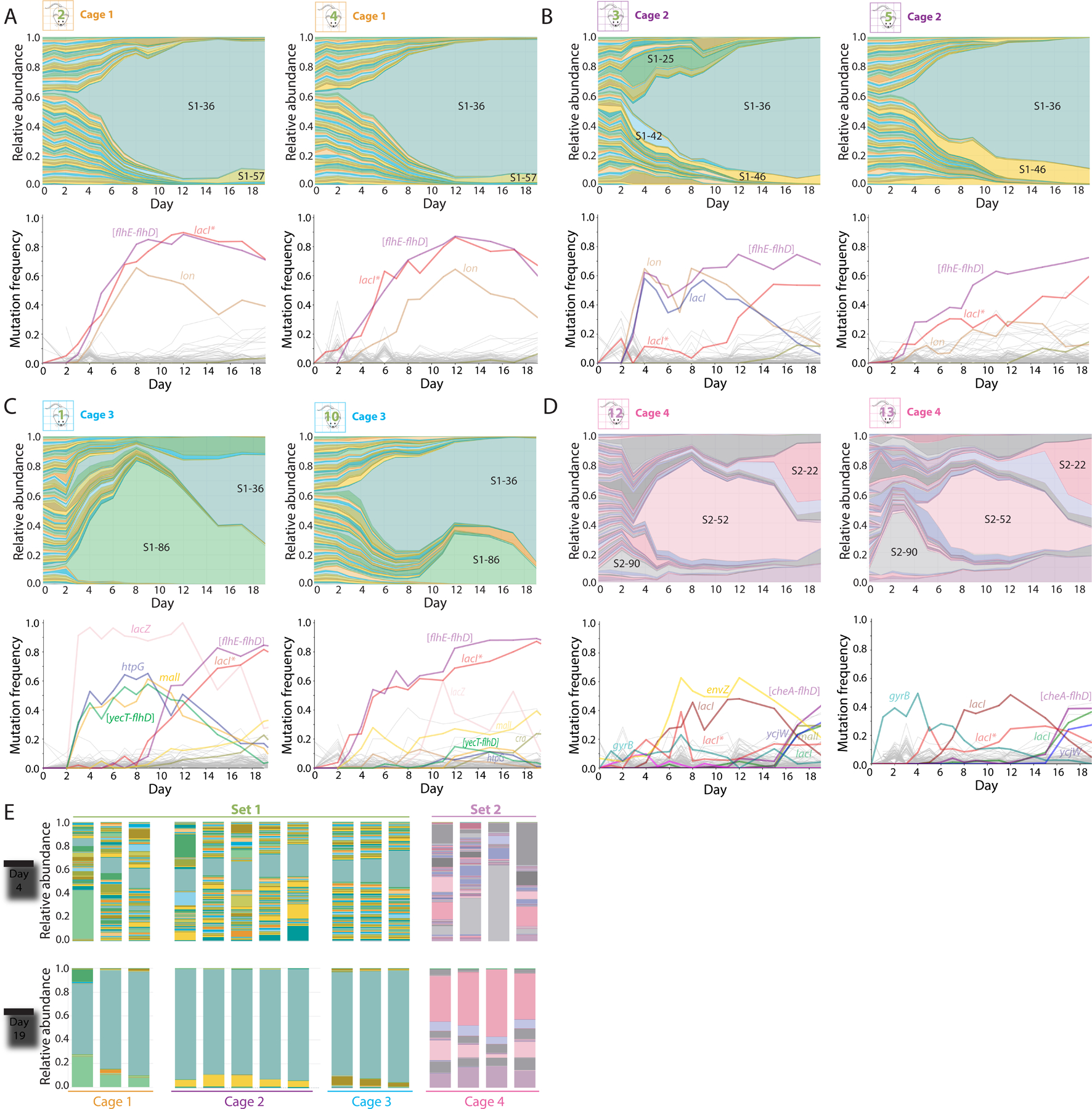 Figure 2: