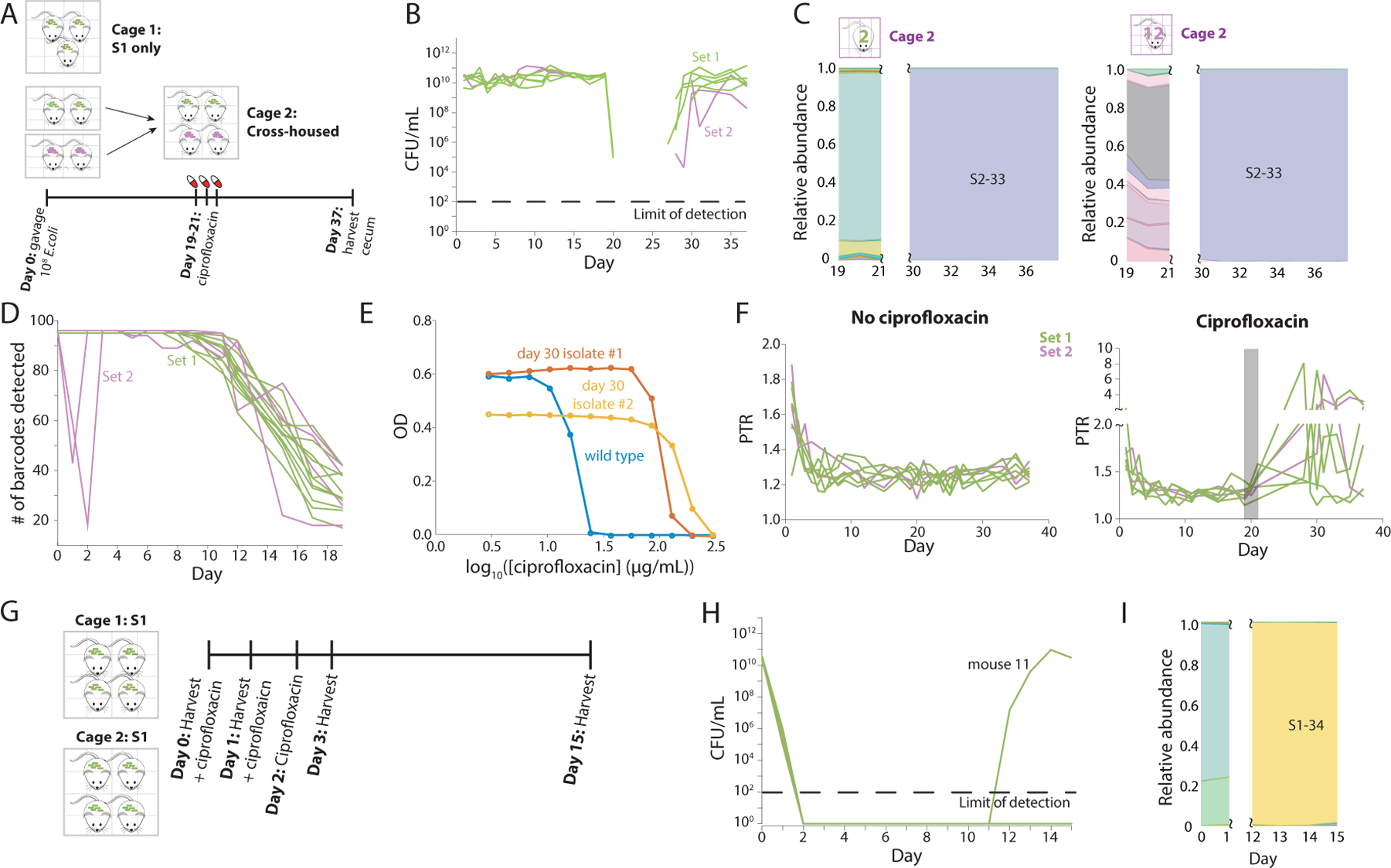 Figure 6: