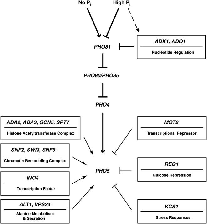 Figure 7.—
