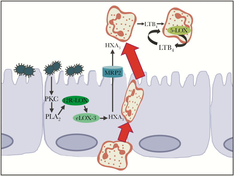 Figure 6.