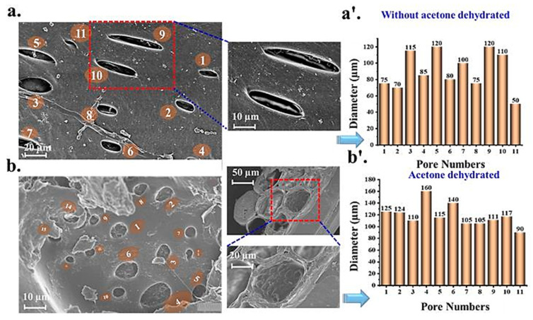 Ph Responsive Super Porous Hybrid Hydrogels For Gastroretentive