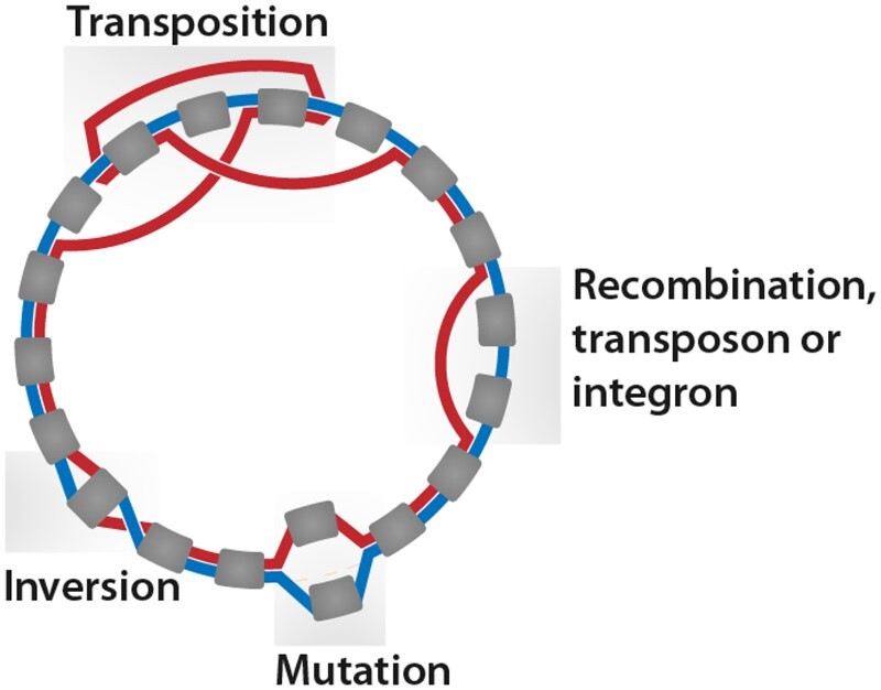 Figure 2.