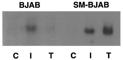 FIG. 8.