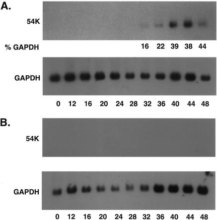 FIG. 5.