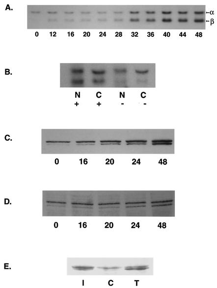 FIG. 6.