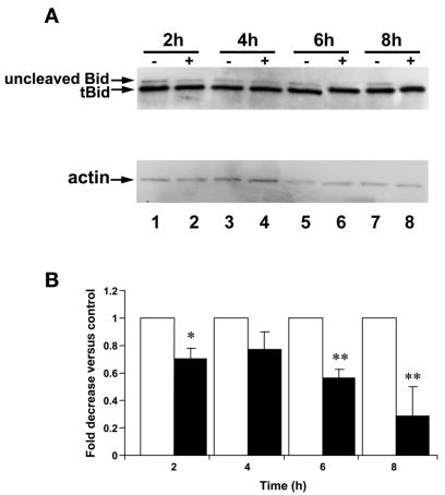 FIG. 7.