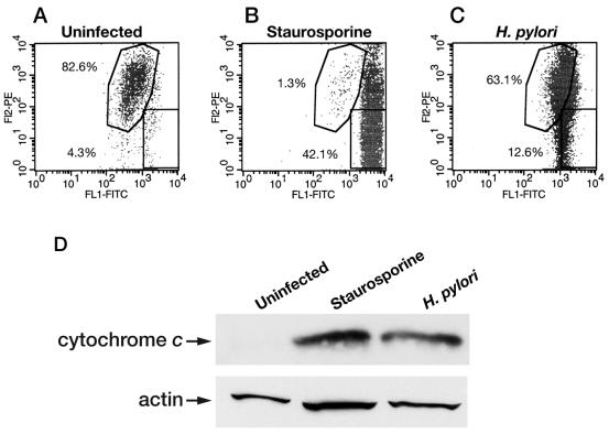 FIG. 8.