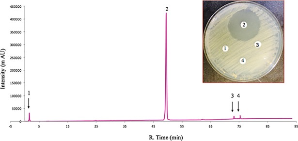 Fig 2