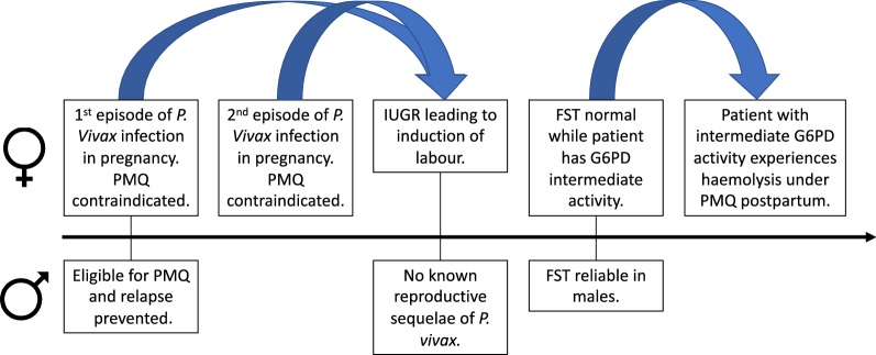 Fig. 1