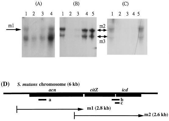 FIG. 5