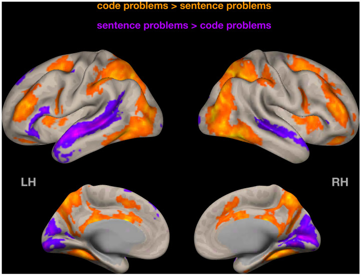 Figure 2—figure supplement 2.