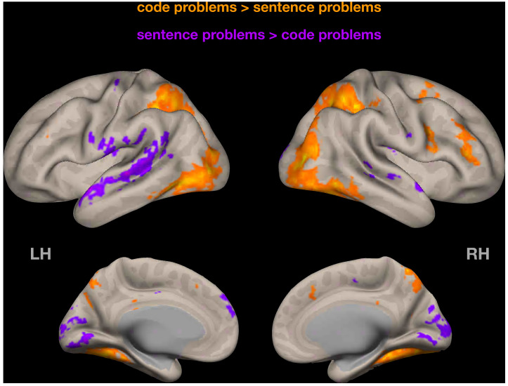 Figure 2—figure supplement 3.