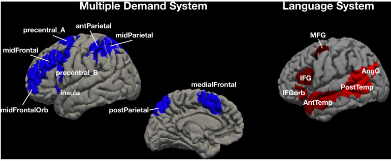 Figure 3—figure supplement 1.