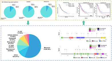 graphic file with name TCA-14-1753-g004.jpg