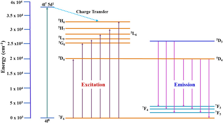 Fig. 9