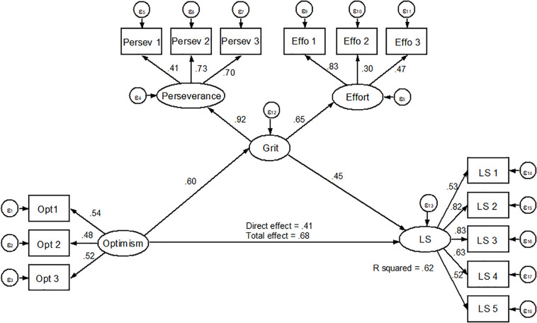 FIGURE 1