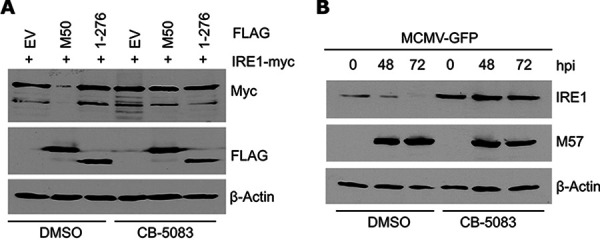 FIG 2