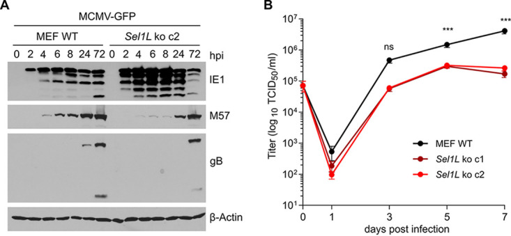 FIG 6