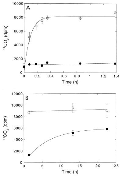 FIG. 9