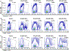 Figure 2 –