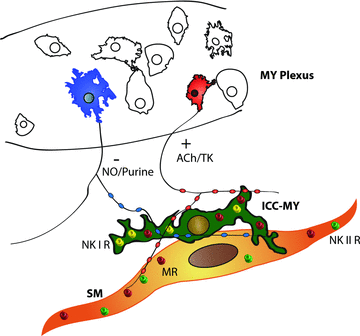 Figure 11