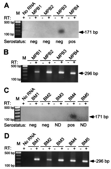 FIG. 5.