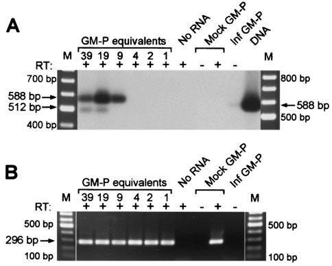 FIG. 2.