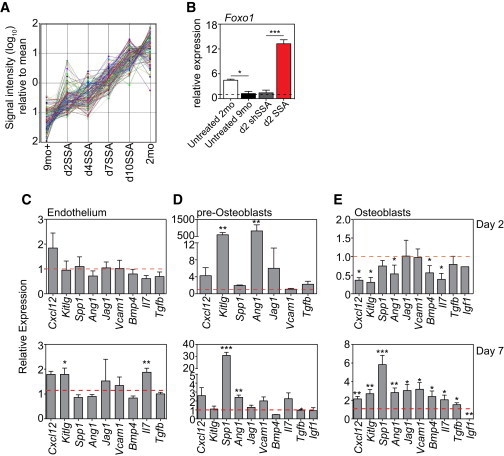 Figure 6