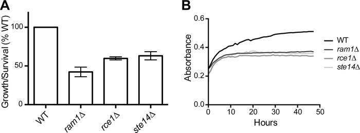 FIG 6 