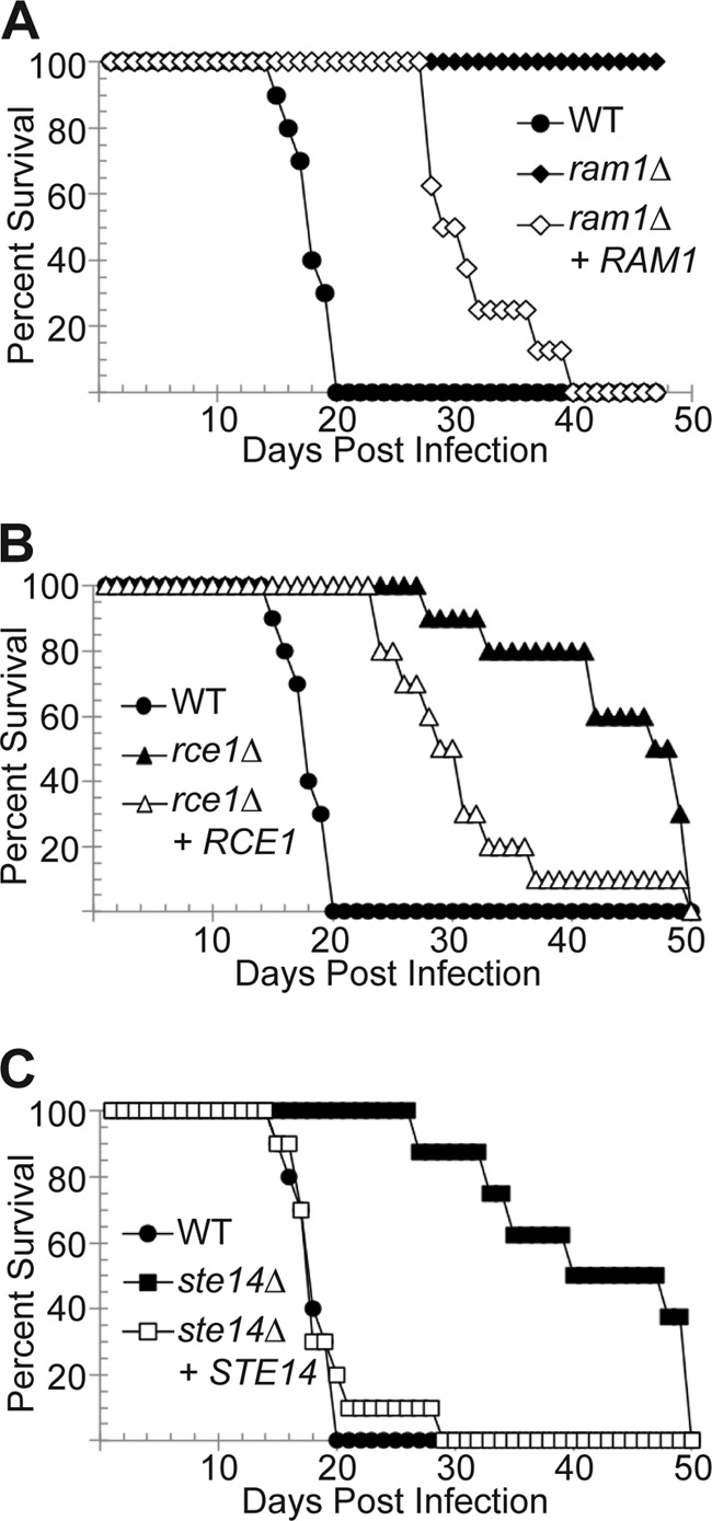 FIG 7 