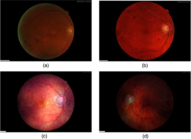 Fig. 3