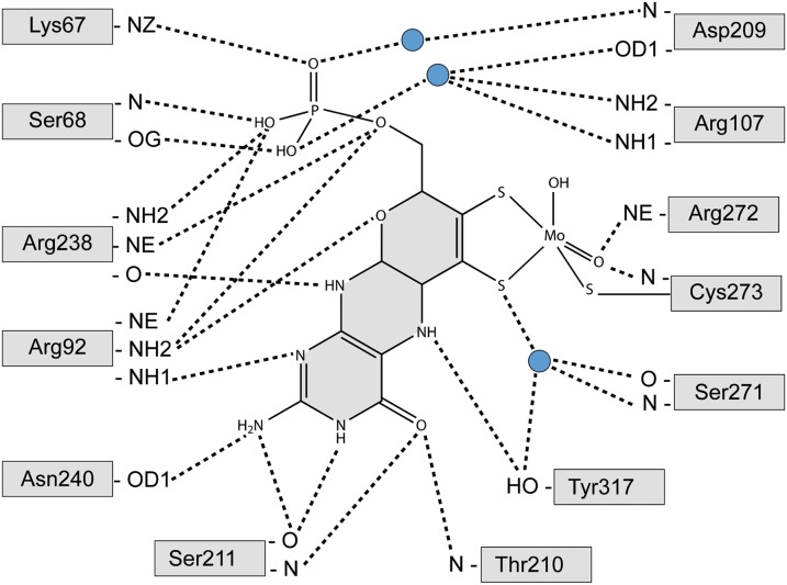 Fig. 4.