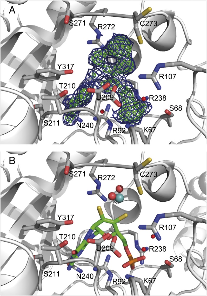 Fig. 3.